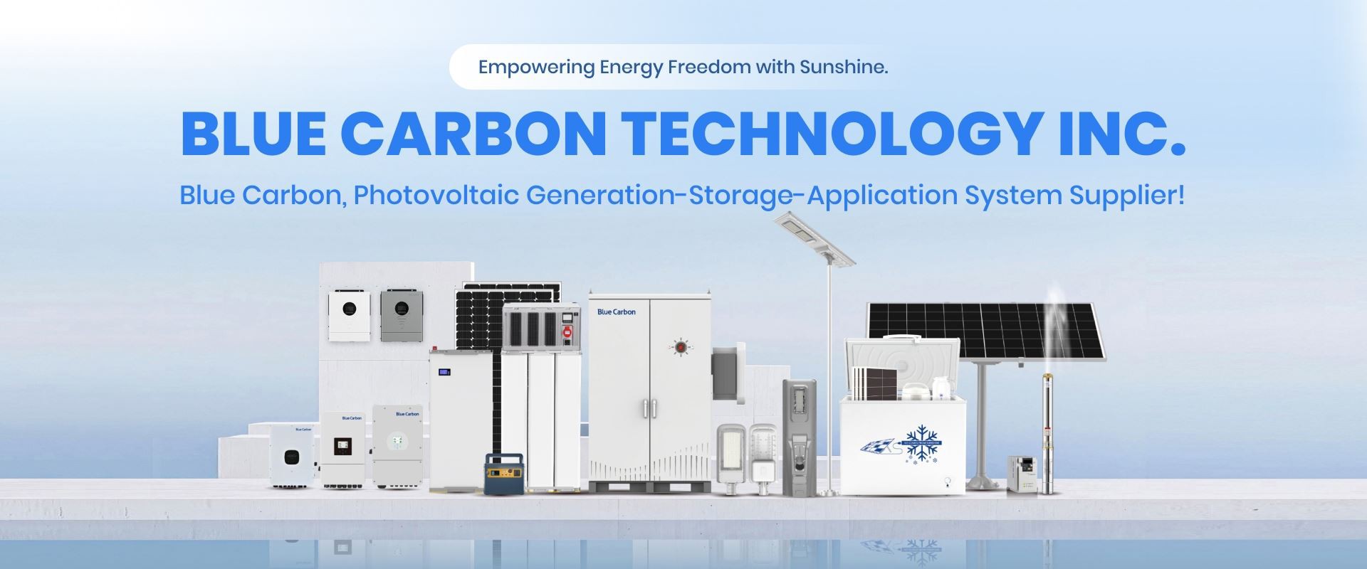 Blue Carbon, Photovoltaic Generation-Storage-Application System Supplier